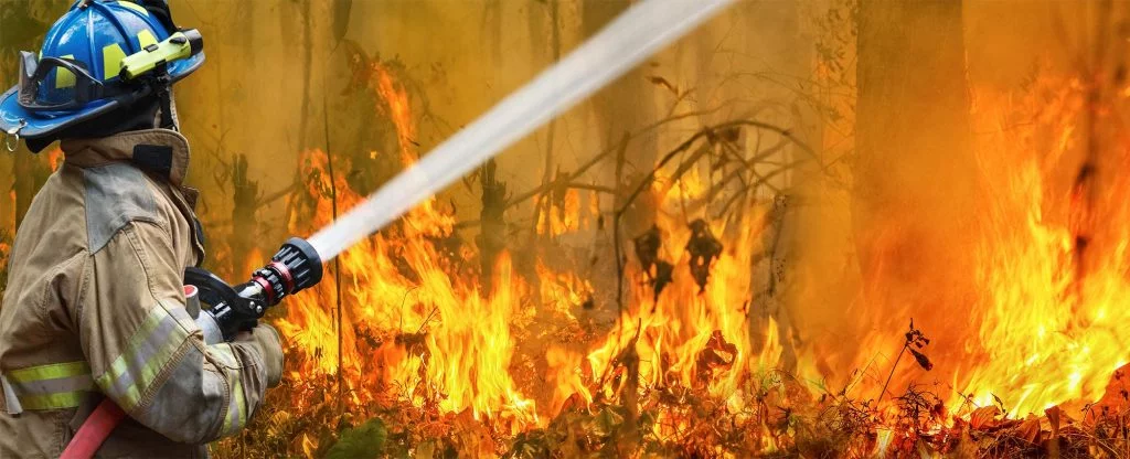 Bushfires timber