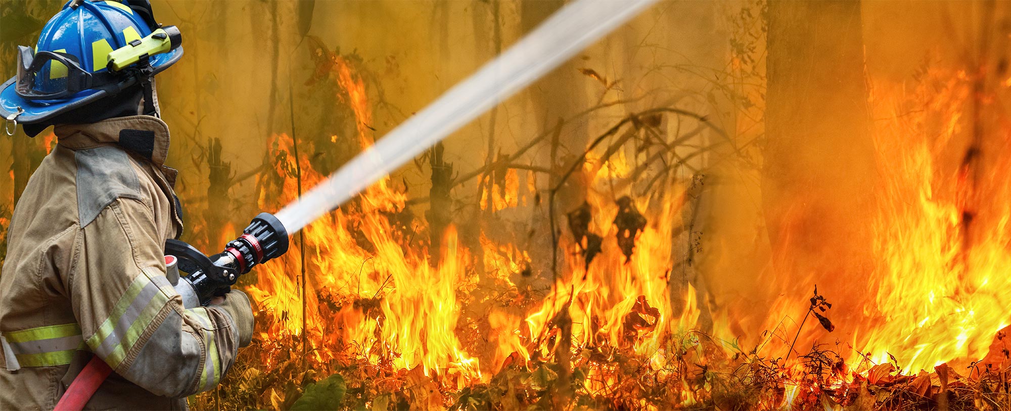 Bushfires timber