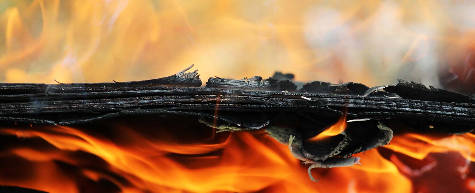 how-fire-retardant-wood-is-made