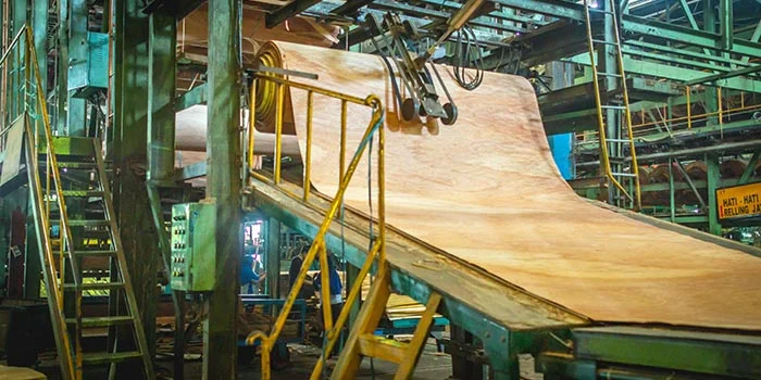 sustainable plywood working conditions responsible labor practices