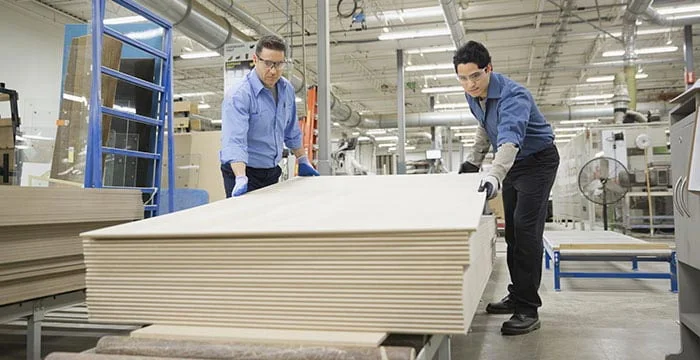 professional plywood pre-cut cost-effective use