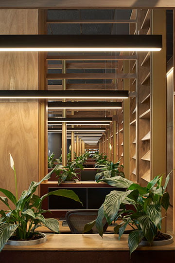 Biophilic trend plywood interior office design 