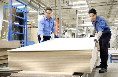 waterproof plywood supplier team in Sydney