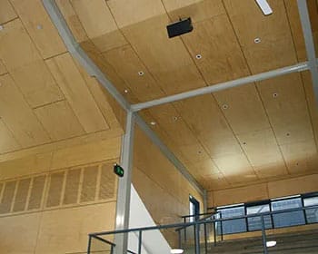 termite resistant ply